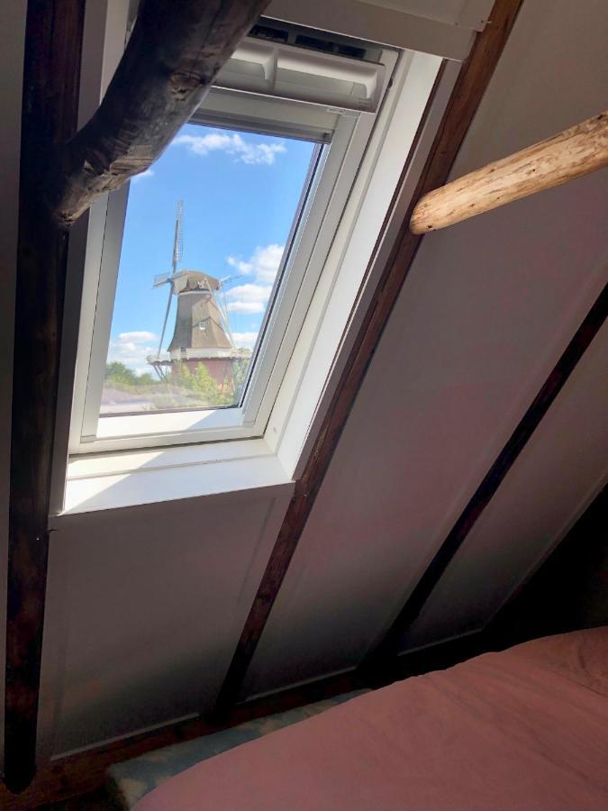 Tiny House De Smederij Villa Peize Eksteriør bilde
